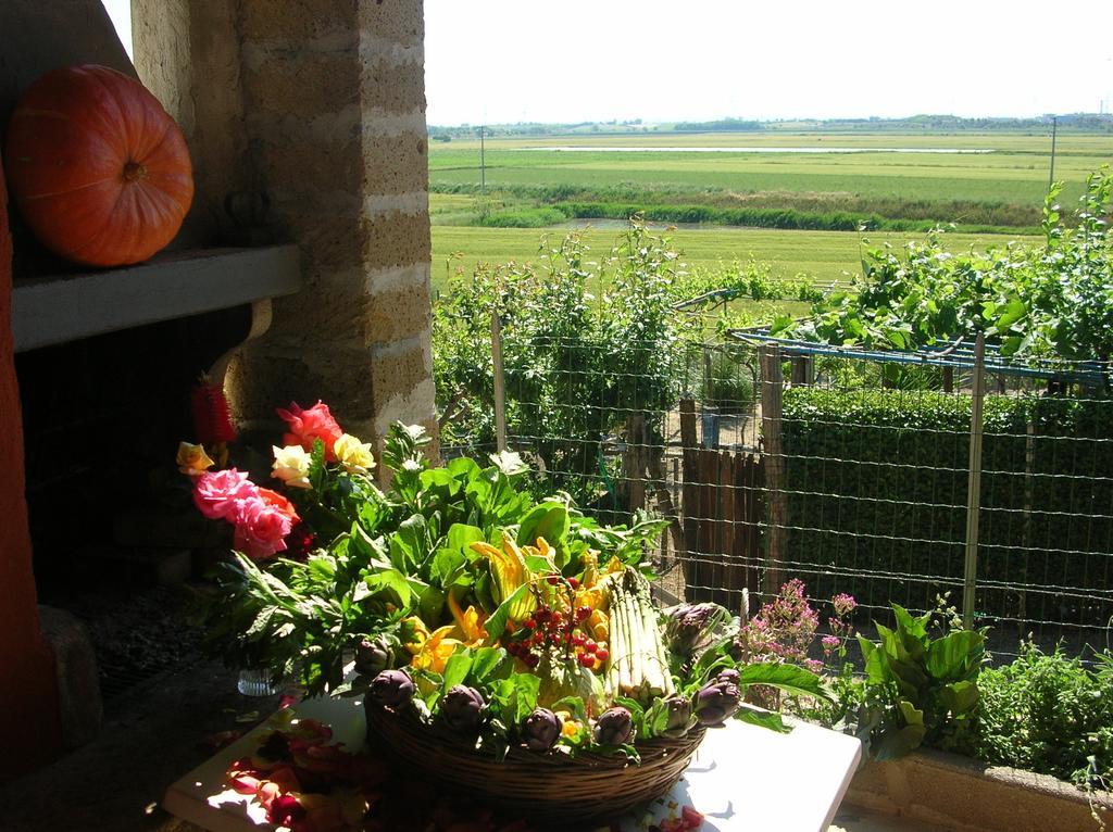 Séjour à la ferme La Sosta *