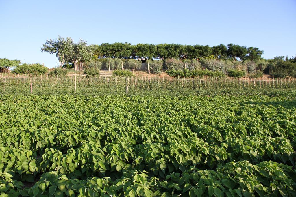 La Sosta Pescia Romana