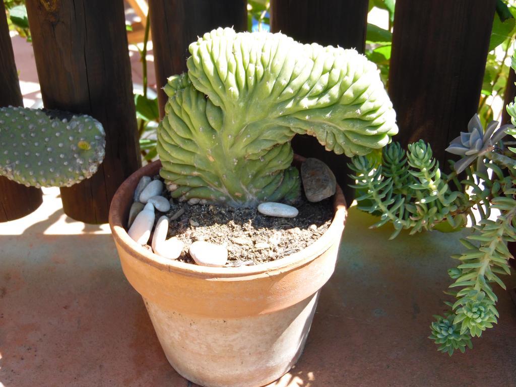 La Sosta Bauernhof